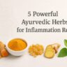 5 Powerful Ayurvedic Herbs for Inflammation Relief – Ashwagandha, Turmeric, Boswellia, Ginger, and Tulsi arranged naturally – Blog Featured Image for PharmacyProfessor.com