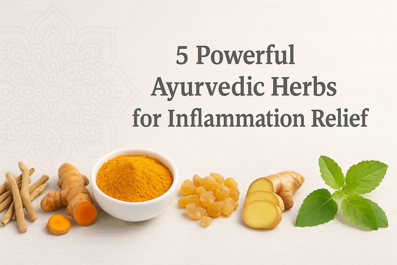 5 Powerful Ayurvedic Herbs for Inflammation Relief – Ashwagandha, Turmeric, Boswellia, Ginger, and Tulsi arranged naturally – Blog Featured Image for PharmacyProfessor.com